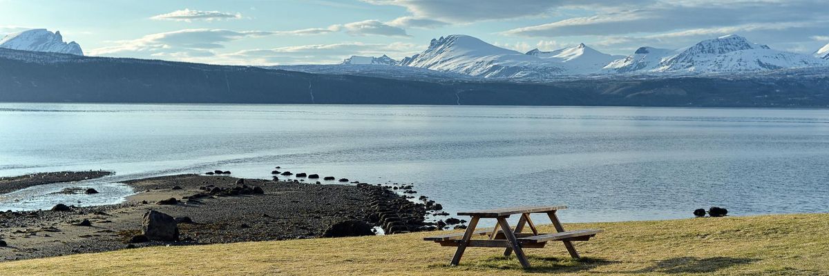 Wide abstract view of a serene arctic landscape representing peace